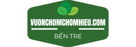 Vườn Chôm Chôm – Sầu Riêng